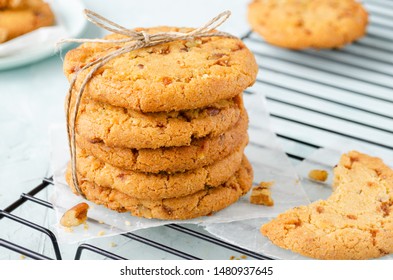 Homemade Chocolate Chip Pecan Cookie