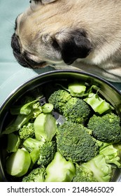 Homemade Dog Food. Fruits And Vegetables Suitable For Dogs. Dogs And Vegetables.