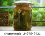 Homemade fermented dill pickles, Hungarian leavened cucumber ( kovászos uborka ) with bread and garlic in a jar matured in the sunshine.