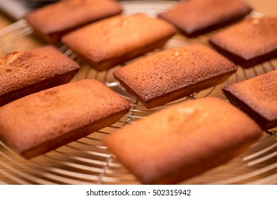 Financier Gateau Images Stock Photos Vectors Shutterstock