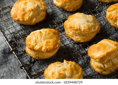 Homemade Flakey Buttermilk Biscuits Ready to Eat