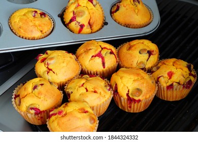 Homemade Fresh Cranberry And Pumpkin Vegan Muffins