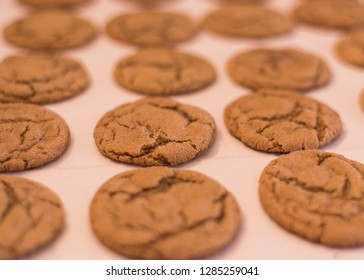 Homemade Ginger Molasses Cookies