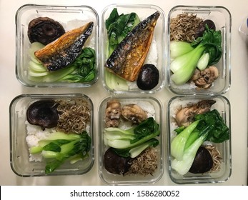 Homemade Healthy Meal In Microwave Boxes. Vegetables, Mushrooms, Chicken, Fish And Rice.