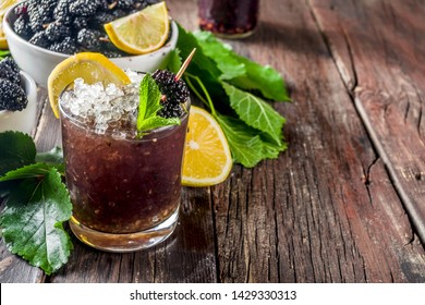 homemade-iced-mulberry-lemonade-mojito-260nw-1429330313.jpg