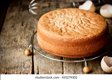 Homemade Ideal Sponge Cake On Wooden Table Blank Space For Text Selective Focus