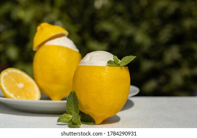 110件の Sorbetto の画像 写真素材 ベクター画像 Shutterstock