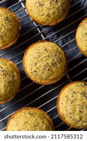 Homemade Lemon Poppyseed Muffins to Eat for Breakfast