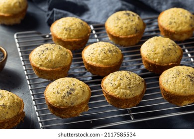 Homemade Lemon Poppyseed Muffins to Eat for Breakfast