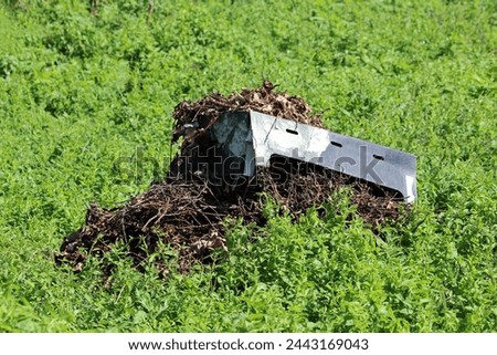 Homemade makeshift outdoor compost pile made of dry plants and small branches covered with broken vegetable carton crate surrounded with dense tall garden plants and uncut grass at local family house 