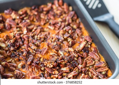 Homemade Mashed Sweet Potato Casserole With Caramelized Pecans For Thanksgiving Day