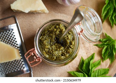 Homemade pesto sauce made from young ground elder leaves in spring - wild edible plant