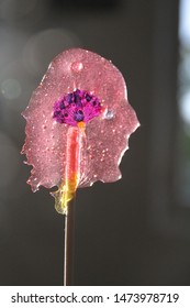 Homemade Pink Jolly Rancher Lollipop