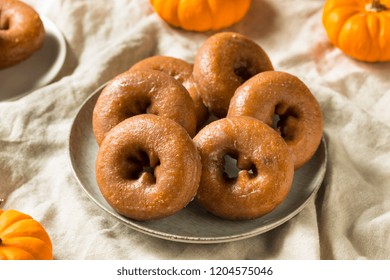 Pumpkin Donut Images Stock Photos Vectors Shutterstock