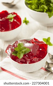 Homemade Red Cherry Gelatin Dessert in a Bowl