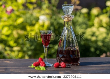 Homemade red raspberry brandy in glasses and in a glass bottle on a wooden table in a summer garden, close up