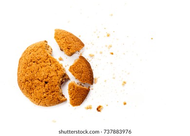 Homemade Round Ginger Biscuit. Delicious Honey Sweetmeal Digestive Cookie On A Plate. On A White Background With Light Shadow. Detailed Closeup Studio Shot.