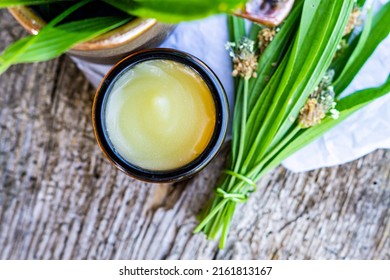 homemade salve or ointment with plantain. diy remedies for body and health - Shutterstock ID 2161813167