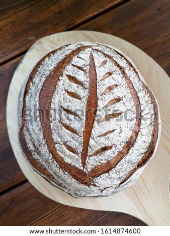 Homemade scored sourdough bread on a wooden bakeboard straight from the oven. Scoring is the technique term for slashing bread dough before baking with a sharp knife or razorblade.