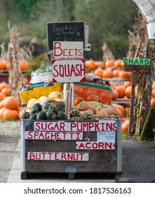 Homemade Signs Advertising Vegetables For Sale At Local Farm Stand.