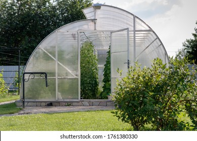 Homemade small polycarbonate greenhouse in the backyard of a private house. And the greenhouse shows bushes of cucumbers and tomatoes.