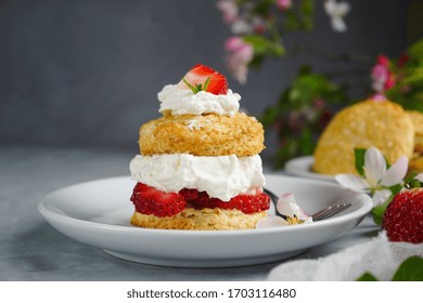 27 274件の Shortcake の画像 写真素材 ベクター画像 Shutterstock