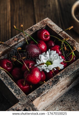 Similar – Plate with homemade fruit ice cream on a stick