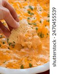 Homemade Super Bowl Buffalo Chicken Dip