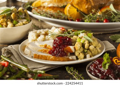 Homemade Thanksgiving Turkey On A Plate With Stuffing And Potatoes