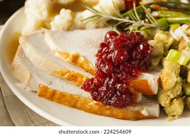 Homemade Thanksgiving Turkey On A Plate With Stuffing And Potatoes