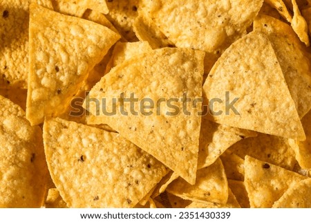 Homemade Triangle Tortilla Corn Chips in a Bowl