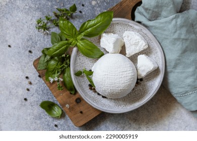 Homemade whey ricotta cheese or cottage cheese with basil ready to eat. Vegetarian healthy diet, fermentation food concept. View from above.  - Powered by Shutterstock