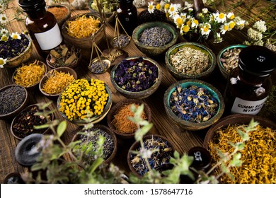 Homeopathy, Herbal Medicine On Wooden Table