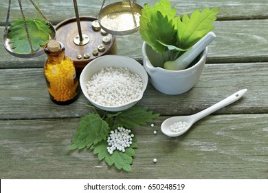 Homeopathy Medicine,scale, Bottle . Urtica Urens In Mortal With Spoon 