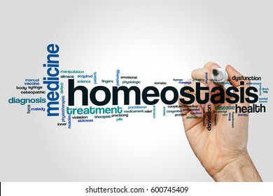 Homeostasis word cloud concept on grey background