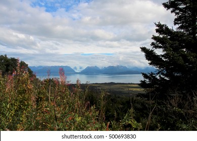 Homer, Alaska