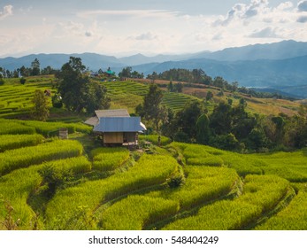 Homestay on green rice terrace field in Chiang Mai, traveling Thailand, Asia - Shutterstock ID 548404249