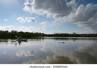 Homestead, Florida - April 11, 2021 - Active Senior Kayaks On Nine Mile Pond In Everglades National Park, Florida.