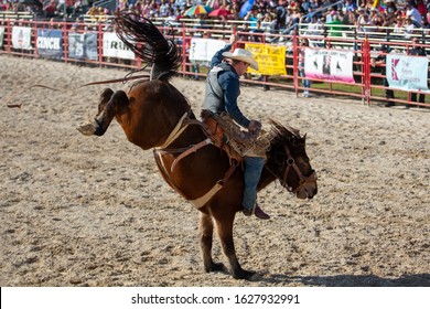 1,167 Saddle bronc riding Images, Stock Photos & Vectors | Shutterstock