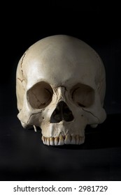 Homo sapience cranium isolated on black background