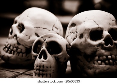 Homo sapience cranium scary skulls