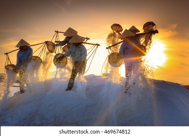 Hon Khoi, Khanh Hoa Province, Vietnam - July 30, 2016 :the women are working on salt field at dawn. Salt field Hon Khoi in Nha Trang, Viet Nam. Workers transporting salt from the fields Hon Khoi, VN