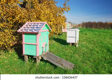 Honey bee hives in autumnal apple garden