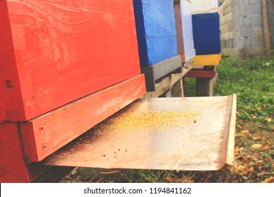 Honey Bees Treatment Of Varroa Mite 