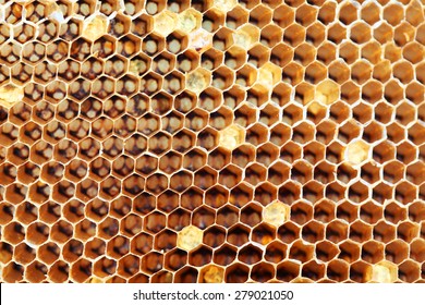 Honey Comb Texture