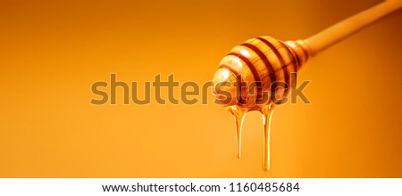 Honey dripping from wooden honey dipper over  yellow background. Sweet bee product for your design with copyspace. 
