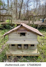 Honey Island Swamp, Louisiana. Tour With Cajun Encounters Swamp Tour. Amazing View Of The Swamps And The Island With Wildlife. Small Wooden House For Stray Cats.