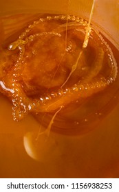 Honey Liquid Background Macro Closeup. Helth Food