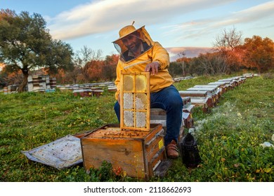 Honey is one of the most valuable foods. It is very important to open the beehive and check the frames. february 4, 2021. aydın, Turkey.