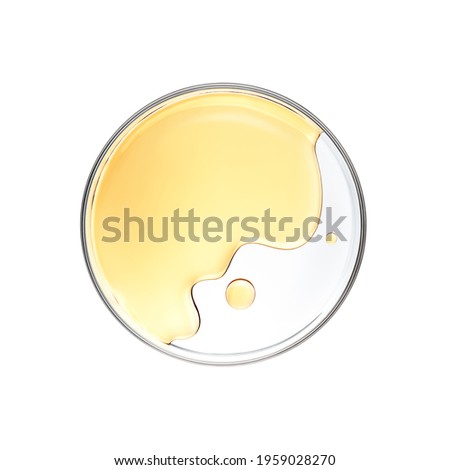 Honey in petri dish over white background - flat lay